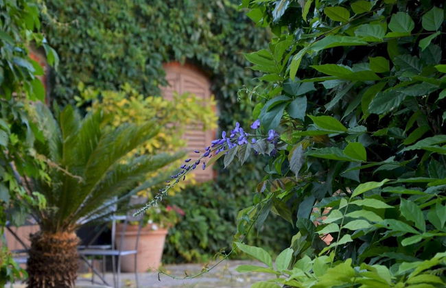 Villa de Leva - Casa Gialla - Foto 28