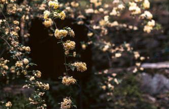 Casale Amati Country House - Foto 53