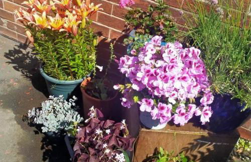 Garden Apartment Morpeth- with lockable bike storage! - Foto 22