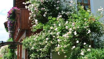 Haus Am Waldrand - Ferienwohnung Augustin - Foto 3