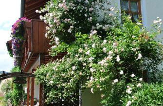 Haus Am Waldrand - Ferienwohnung Augustin - Foto 3