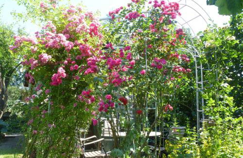 Ferienwohnung Am Walde - Photo 36