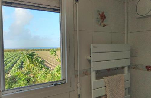 Ty Cap-Horniers - Foto 15