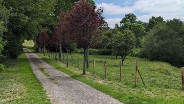 Joli studio à la campagne - Photo 5