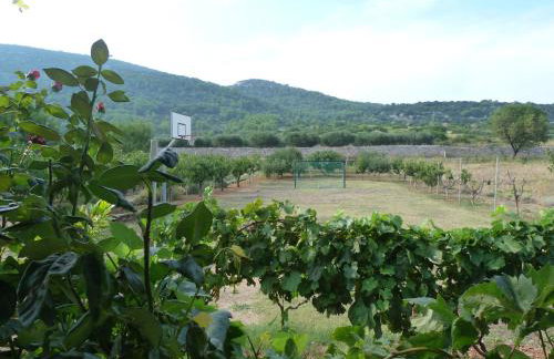 Country House Speedy - Foto 3