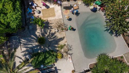 León de Sineu - Foto 1