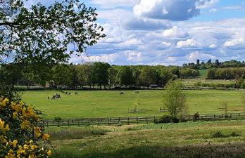 Domaine équestre de la Chênaie - Foto 43