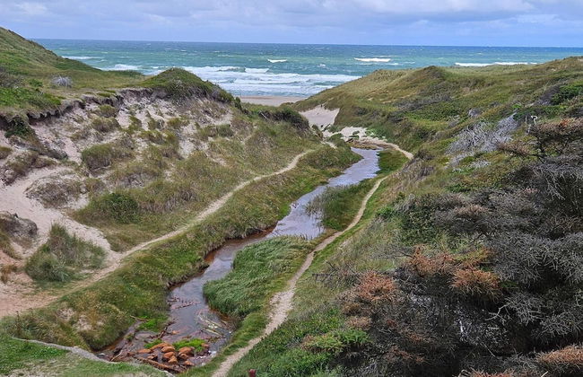 7 Person Holiday Home in Thisted-by Traum - Foto 7