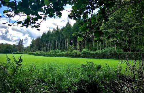 Trelaske Mill Cider Barn-with Hot Tub, Fire Pit BBQ - Foto 25