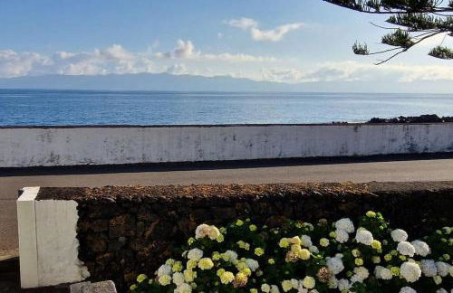 Terra`s Place - Photo 9