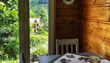 Willa Wierchy - Foto 5, Garden, Garden view