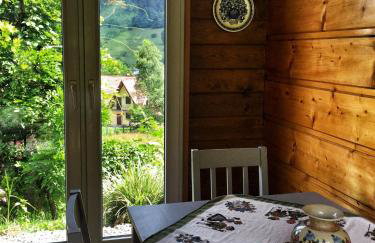 Willa Wierchy - Foto 5