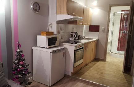 Apartament Grosik - Foto 16