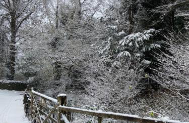 3 Millbeck Cottage - Photo 31