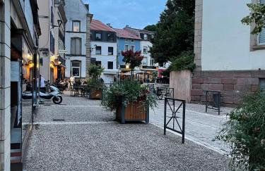 Épinal : superbe appartement en plein centre ville - Foto 19