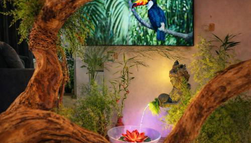 Jungle Spa - Cocon tropical et dépaysant avec balnéo en plein coeur de Pézenas ! - Foto 4