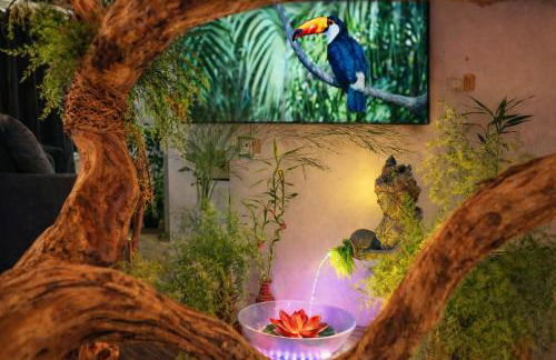 Jungle Spa - Cocon tropical et dépaysant avec balnéo en plein coeur de Pézenas ! - Foto 4