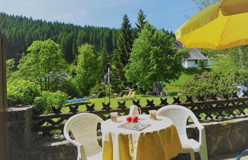 Schwarzwald-Hotel Kraeutle - Foto 51