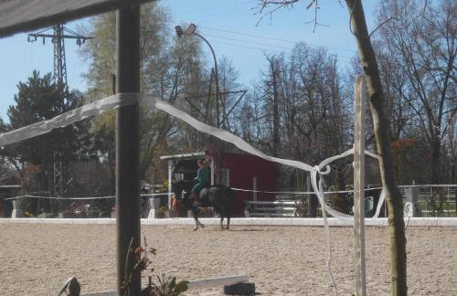 Ferienhaus Pfalzklause - Foto 27