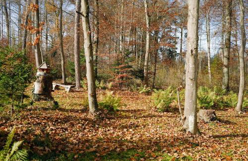 Ferienhaus DONAUzeit - Foto 33