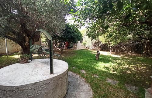 Σπίτι στο Ρίο Πατρών με κήπο - Detached House In Rio With Garden - Foto 7