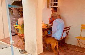 Plage / Beach / Marines de Gassin / Saint-Tropez - Foto 46