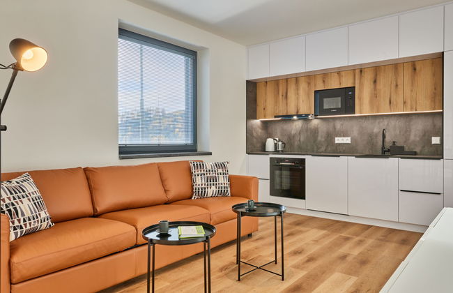 Černý Důl - Foto 8