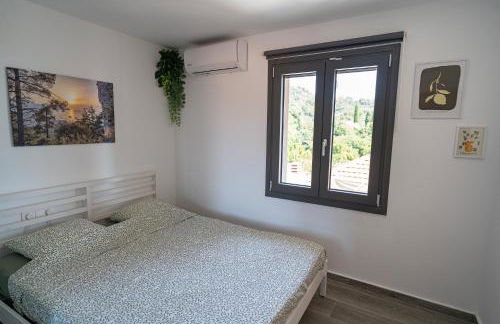 Thassos Potamia Village House-Apartment Mathys and Basile - Foto 16