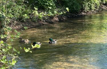 Studio moulin la paille - Foto 12