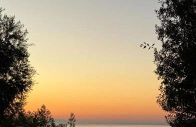 Appartement T3 de charme avec Terrasse - Hauteurs Bastia - Photo 1