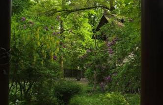 Leśny kasztel pod sosnami. Pokój w koronach drzew. - Foto 11