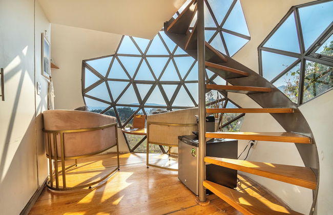 Bosque Geométrico - Foto 46