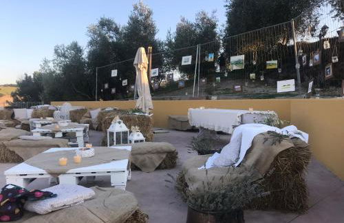 Agriturismo Tenuta Belvedere - Foto 50