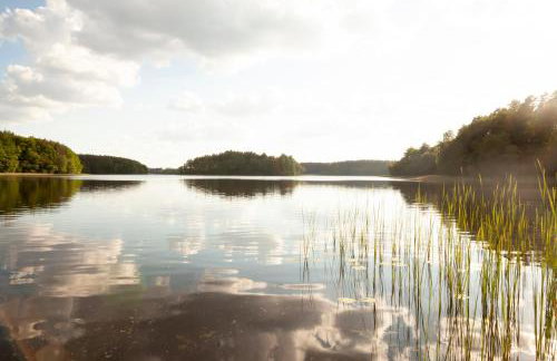 WOLNE CHWILE - Foto 44