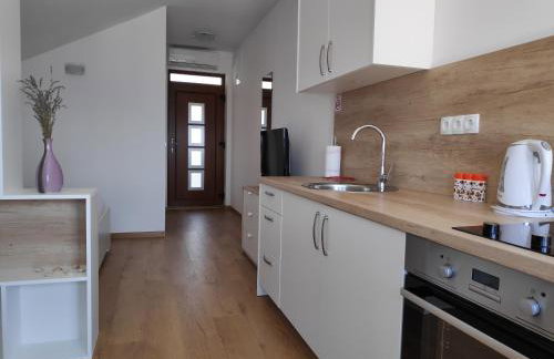 Apartman Anicic - Foto 8