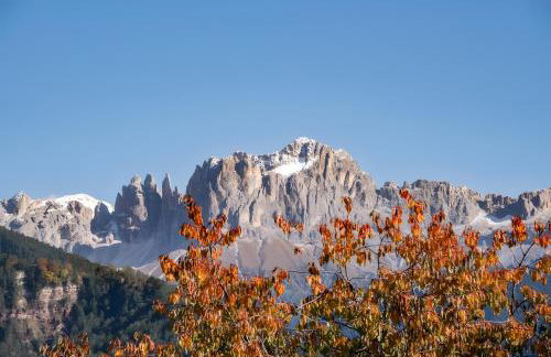 Wohnung Schlern Heigler Hof - Foto 27
