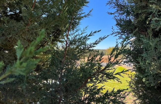 Cheerful 2-bedroom Villa With Pool - Foto 18