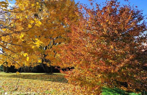 Komfortowy dom wakacyjny dla kilku rodzin - Foto 27