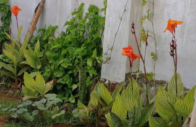 5-bed Lakeview Villa With Roofterrace and Kidspond - Foto 29