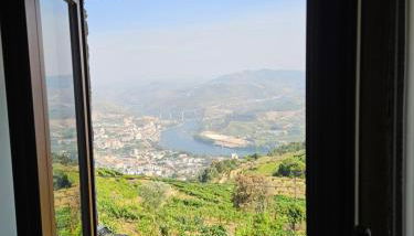 Quinta de Sobre a Fonte Charming Apartments - traditional winery - Foto 4