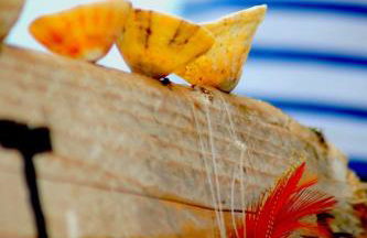 So Chic Kerfily house with hot tub 8 people - Foto 15