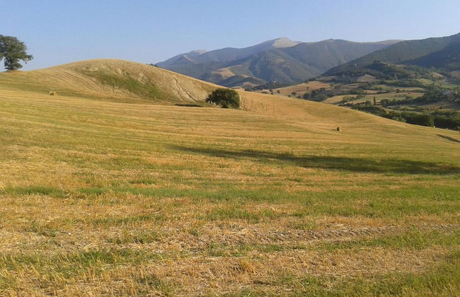 Agriturismo Ca' le Suore - Foto 59