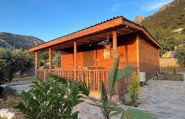 Afera Koy Evi - Foto 24