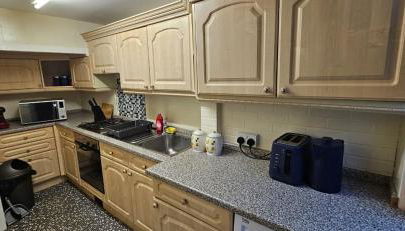 OG Stays IV- Free Parking, Free Wifi, Near Nissan & Stadium - Foto 5, stove