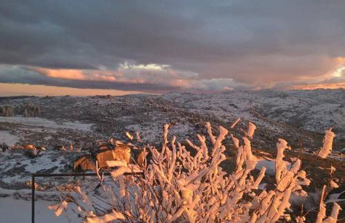 Casa Oeste - Photo 57