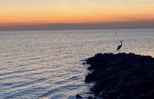 WV19 - Chasing Sunsets - Foto 71