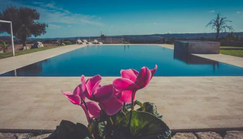 La Mela di Venere - Foto 3