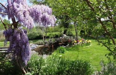 Ca' Ninota - Foto 30