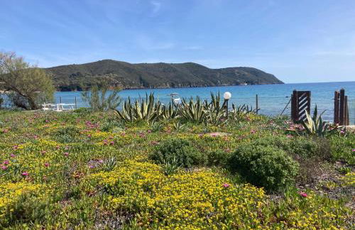 Villa Il Guardingo - Photo 73