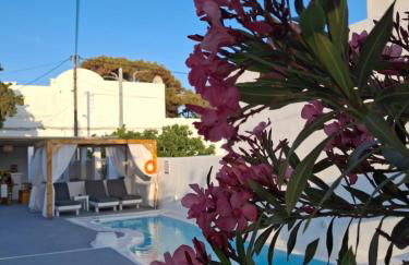 Alloro Perissa - Foto 64